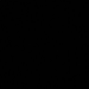 Meet your Posher, Ivan